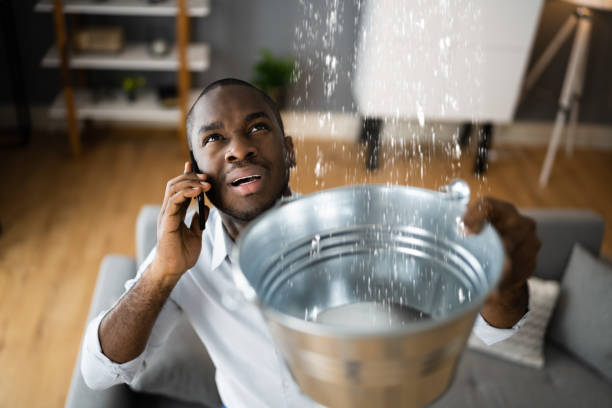 Best Professional water damage repair  in Crewe, VA