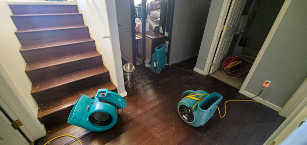 Best Flood restoration services  in Crewe, VA