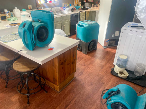 Reliable VA Water damage restoration Solutions