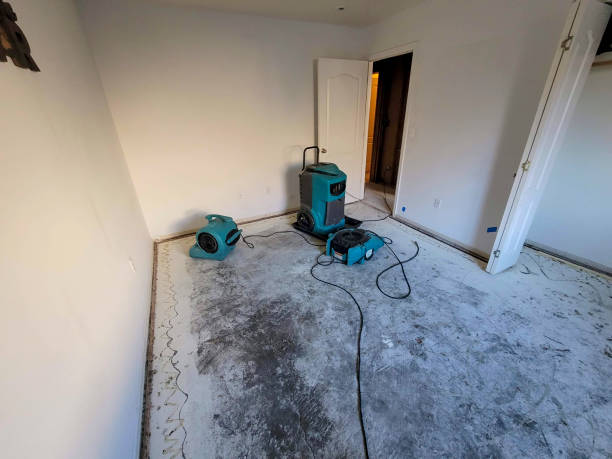 Best Ceiling water damage repair  in Crewe, VA