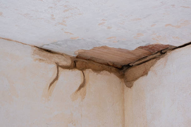 Best Water damage mitigation services  in Crewe, VA