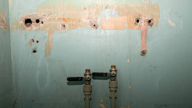 Best Water damage restoration specialists  in Crewe, VA