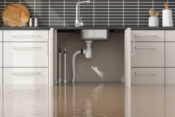 Best Commercial water damage restoration  in Crewe, VA