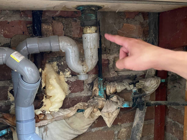 Best Local water damage restoration  in Crewe, VA