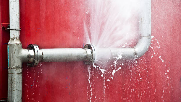Best Basement water damage restoration  in Crewe, VA